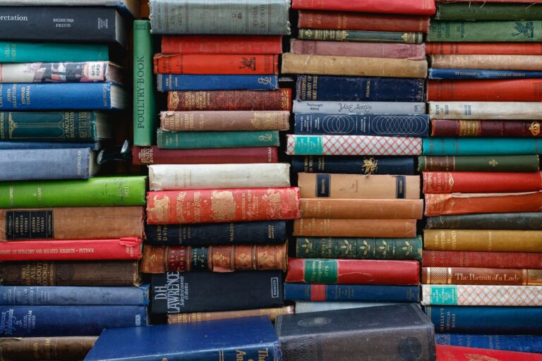 50 Books Later: The Year I Fell Back in Love with Reading