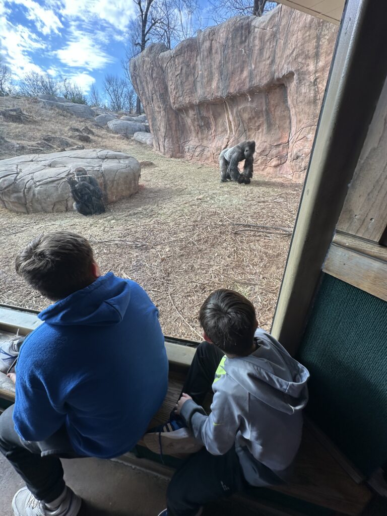 A Spring Day at the OKC Zoo