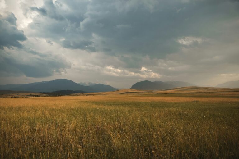 Stewardship of Time, Money, and Energy in Midlife